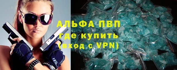 шишки Аркадак