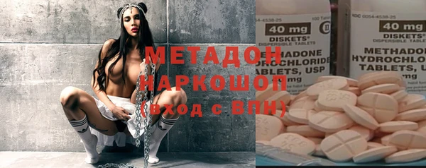 шишки Аркадак